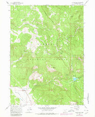 Cougar Peak Oregon Historical topographic map, 1:24000 scale, 7.5 X 7.5 Minute, Year 1964