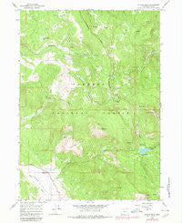 Cougar Peak Oregon Historical topographic map, 1:24000 scale, 7.5 X 7.5 Minute, Year 1964