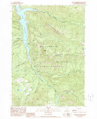 Cougar Reservoir Oregon Historical topographic map, 1:24000 scale, 7.5 X 7.5 Minute, Year 1989