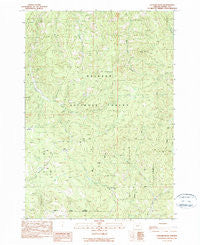 Cougar Rock Oregon Historical topographic map, 1:24000 scale, 7.5 X 7.5 Minute, Year 1990