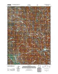 Cougar Peak Oregon Historical topographic map, 1:24000 scale, 7.5 X 7.5 Minute, Year 2011