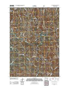 Cougar Rock Oregon Historical topographic map, 1:24000 scale, 7.5 X 7.5 Minute, Year 2011