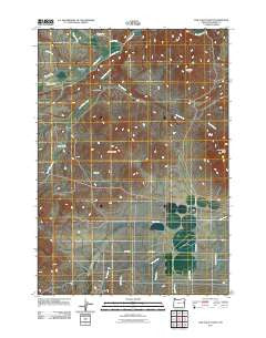 Cow Valley West Oregon Historical topographic map, 1:24000 scale, 7.5 X 7.5 Minute, Year 2011