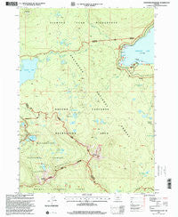 Cowhorn Mountain Oregon Historical topographic map, 1:24000 scale, 7.5 X 7.5 Minute, Year 1997