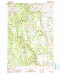 Craft Point Oregon Historical topographic map, 1:24000 scale, 7.5 X 7.5 Minute, Year 1990