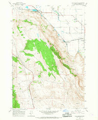 Craig Mountain Oregon Historical topographic map, 1:24000 scale, 7.5 X 7.5 Minute, Year 1966