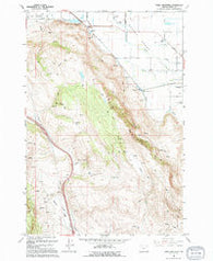 Craig Mountain Oregon Historical topographic map, 1:24000 scale, 7.5 X 7.5 Minute, Year 1994
