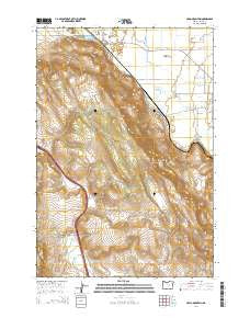 Craig Mountain Oregon Current topographic map, 1:24000 scale, 7.5 X 7.5 Minute, Year 2014
