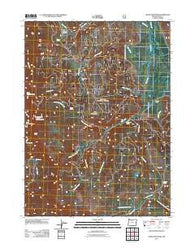 Crane Mountain Oregon Historical topographic map, 1:24000 scale, 7.5 X 7.5 Minute, Year 2011
