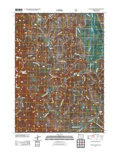 Crane Mountain Oregon Historical topographic map, 1:24000 scale, 7.5 X 7.5 Minute, Year 2011