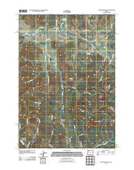 Crawfordsville Oregon Historical topographic map, 1:24000 scale, 7.5 X 7.5 Minute, Year 2011