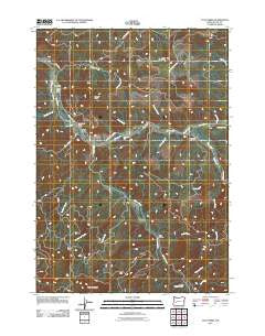 Culp Creek Oregon Historical topographic map, 1:24000 scale, 7.5 X 7.5 Minute, Year 2011