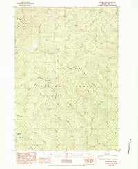 Cummins Peak Oregon Historical topographic map, 1:24000 scale, 7.5 X 7.5 Minute, Year 1984