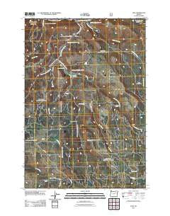 Dale Oregon Historical topographic map, 1:24000 scale, 7.5 X 7.5 Minute, Year 2011