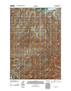 Daly Creek Oregon Historical topographic map, 1:24000 scale, 7.5 X 7.5 Minute, Year 2011