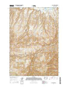 Daly Creek Oregon Current topographic map, 1:24000 scale, 7.5 X 7.5 Minute, Year 2014