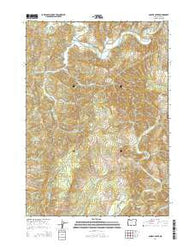 Daniels Creek Oregon Current topographic map, 1:24000 scale, 7.5 X 7.5 Minute, Year 2014