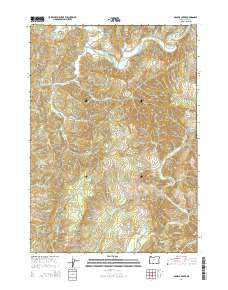 Daniels Creek Oregon Current topographic map, 1:24000 scale, 7.5 X 7.5 Minute, Year 2014