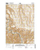 Dant Oregon Current topographic map, 1:24000 scale, 7.5 X 7.5 Minute, Year 2014