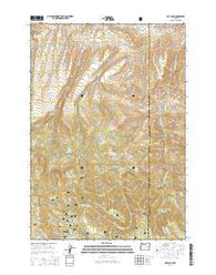 Day Basin Oregon Current topographic map, 1:24000 scale, 7.5 X 7.5 Minute, Year 2014