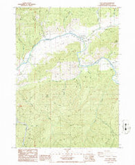 Days Creek Oregon Historical topographic map, 1:24000 scale, 7.5 X 7.5 Minute, Year 1986