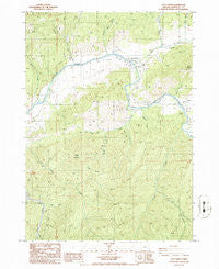 Days Creek Oregon Historical topographic map, 1:24000 scale, 7.5 X 7.5 Minute, Year 1986