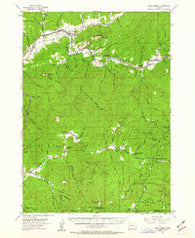 Days Creek Oregon Historical topographic map, 1:62500 scale, 15 X 15 Minute, Year 1954