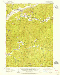 Days Creek Oregon Historical topographic map, 1:62500 scale, 15 X 15 Minute, Year 1954