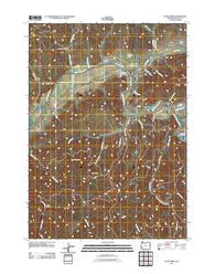 Days Creek Oregon Historical topographic map, 1:24000 scale, 7.5 X 7.5 Minute, Year 2011