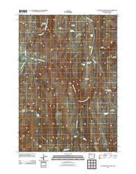 De Armond Mountain Oregon Historical topographic map, 1:24000 scale, 7.5 X 7.5 Minute, Year 2011