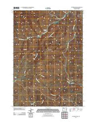 De Bord Peaks Oregon Historical topographic map, 1:24000 scale, 7.5 X 7.5 Minute, Year 2011