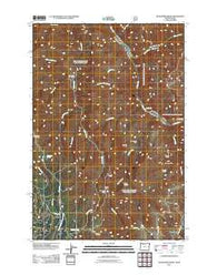 Deadhorse Ridge Oregon Historical topographic map, 1:24000 scale, 7.5 X 7.5 Minute, Year 2011