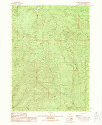 Deadman Mountain Oregon Historical topographic map, 1:24000 scale, 7.5 X 7.5 Minute, Year 1989