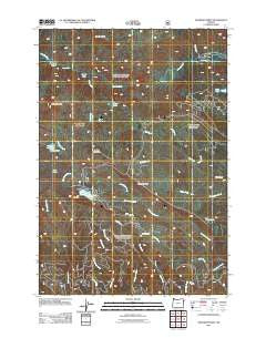 Deadman Point Oregon Historical topographic map, 1:24000 scale, 7.5 X 7.5 Minute, Year 2011