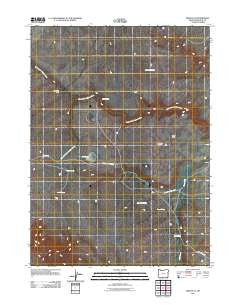 Deer Flat Oregon Historical topographic map, 1:24000 scale, 7.5 X 7.5 Minute, Year 2011
