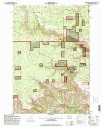 Deerhorn Creek Oregon Historical topographic map, 1:24000 scale, 7.5 X 7.5 Minute, Year 1995