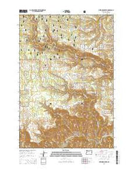 Deerhorn Creek Oregon Current topographic map, 1:24000 scale, 7.5 X 7.5 Minute, Year 2014