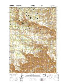 Deerhorn Creek Oregon Current topographic map, 1:24000 scale, 7.5 X 7.5 Minute, Year 2014