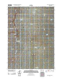 Defeat Butte Oregon Historical topographic map, 1:24000 scale, 7.5 X 7.5 Minute, Year 2011