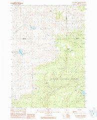 Delintment Lake Oregon Historical topographic map, 1:24000 scale, 7.5 X 7.5 Minute, Year 1990