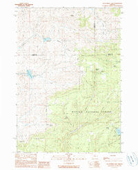 Delintment Lake Oregon Historical topographic map, 1:24000 scale, 7.5 X 7.5 Minute, Year 1990