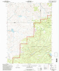 Delintment Lake Oregon Historical topographic map, 1:24000 scale, 7.5 X 7.5 Minute, Year 1992