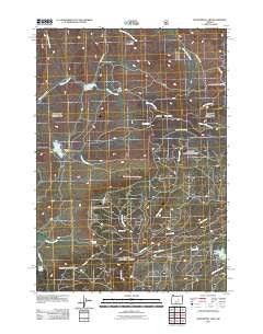 Delintment Lake Oregon Historical topographic map, 1:24000 scale, 7.5 X 7.5 Minute, Year 2011