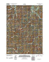 Dement Creek Oregon Historical topographic map, 1:24000 scale, 7.5 X 7.5 Minute, Year 2011