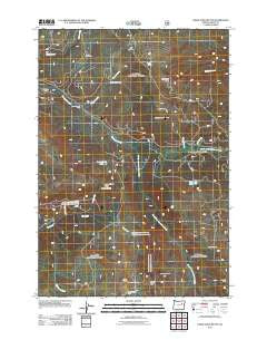 Desolation Butte Oregon Historical topographic map, 1:24000 scale, 7.5 X 7.5 Minute, Year 2011