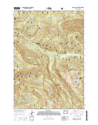Desolation Butte Oregon Current topographic map, 1:24000 scale, 7.5 X 7.5 Minute, Year 2014