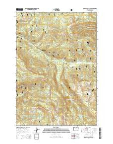 Desolation Butte Oregon Current topographic map, 1:24000 scale, 7.5 X 7.5 Minute, Year 2014