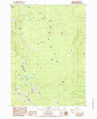Devils Peak Oregon Historical topographic map, 1:24000 scale, 7.5 X 7.5 Minute, Year 1985