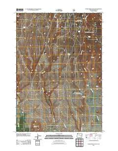 Devine Ridge South Oregon Historical topographic map, 1:24000 scale, 7.5 X 7.5 Minute, Year 2011