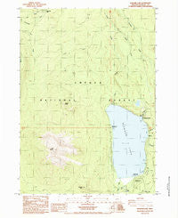 Diamond Lake Oregon Historical topographic map, 1:24000 scale, 7.5 X 7.5 Minute, Year 1985